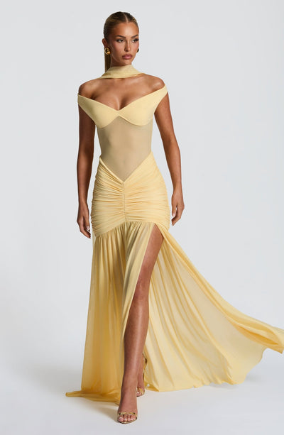 VIVIEN Mesh Dress - LidaPlace