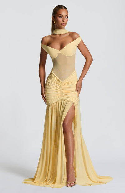 VIVIEN Mesh Dress - LidaPlace